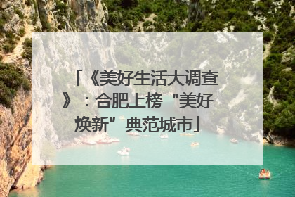 《美好生活大调查》：合肥上榜“美好焕新”典范城市