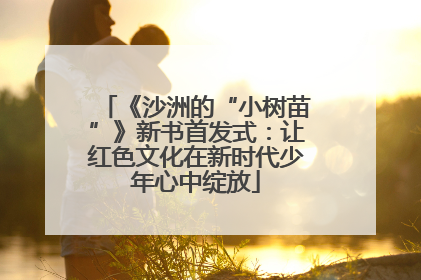 《沙洲的“小树苗”》新书首发式：让红色文化在新时代少年心中绽放