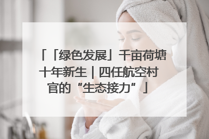 「绿色发展」千亩荷塘 十年新生｜四任航空村官的“生态接力”