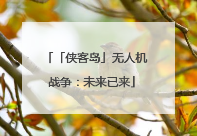 「侠客岛」无人机战争：未来已来