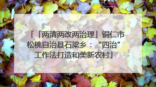 「两清两改两治理」铜仁市松桃自治县石梁乡：“四治”工作法打造和美新农村