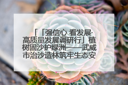 「强信心 看发展·高质量发展调研行」植树固沙护绿洲——武威市治沙造林筑牢生态安全屏障见闻