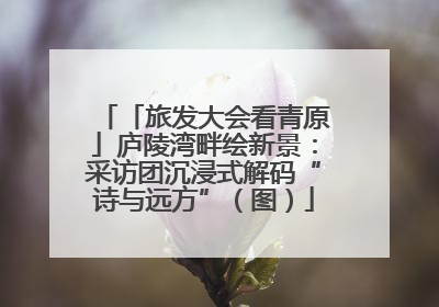 「旅发大会看青原」庐陵湾畔绘新景：采访团沉浸式解码“诗与远方”（图）