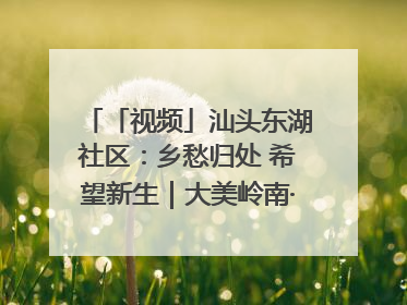 「视频」汕头东湖社区：乡愁归处 希望新生｜大美岭南·百村焕新记