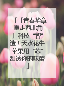 「青春华章·重走西北角」科技“智”造！天水花牛苹果用“芯”甜透你的味蕾