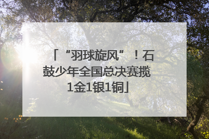 “羽球旋风”！石鼓少年全国总决赛揽1金1银1铜