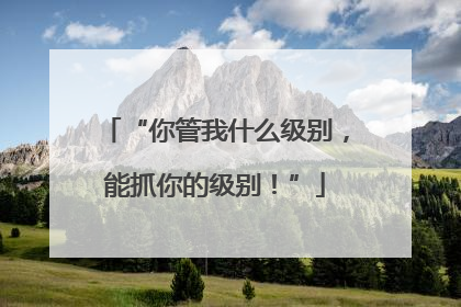 “你管我什么级别，能抓你的级别！”