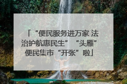 “便民服务进万家 法治护航惠民生”“头雁”便民集市“开张”啦