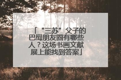 “三苏”父子的巴蜀朋友圈有哪些人？这场书画文献展上能找到答案