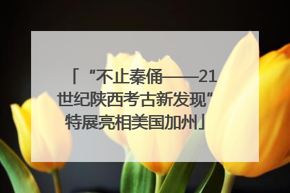 “不止秦俑——21世纪陕西考古新发现”特展亮相美国加州