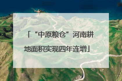“中原粮仓”河南耕地面积实现四年连增