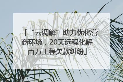 “云调解”助力优化营商环境，20天远程化解百万工程欠款纠纷