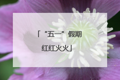 “五一”假期 红红火火