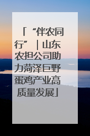 “伴农同行”｜山东农担公司助力菏泽巨野蛋鸡产业高质量发展