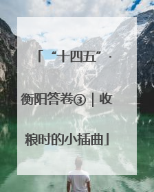 “十四五”·衡阳答卷③｜收粮时的小插曲