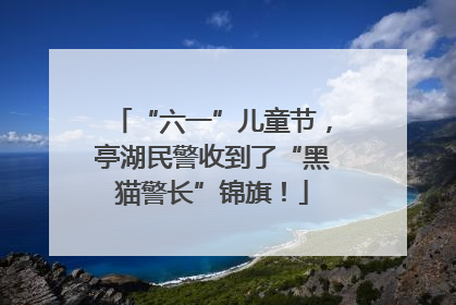“六一”儿童节，亭湖民警收到了“黑猫警长”锦旗！