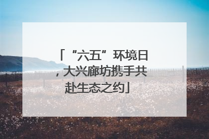 “六五”环境日，大兴廊坊携手共赴生态之约