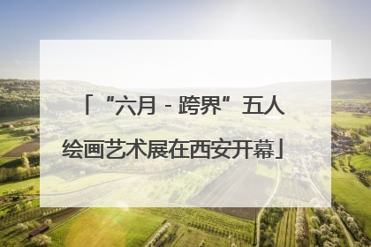 “六月 - 跨界”五人绘画艺术展在西安开幕