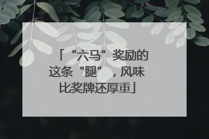 “六马”奖励的这条“腿”，风味比奖牌还厚重