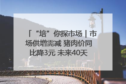 “培”你探市场｜市场供增需减 猪肉价同比降3元 未来40天便宜猪肉敞开吃