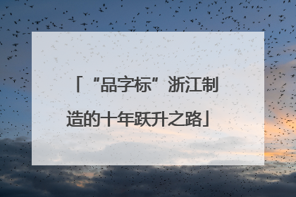 “品字标”浙江制造的十年跃升之路