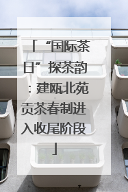 “国际茶日”探茶韵：建瓯北苑贡茶春制进入收尾阶段