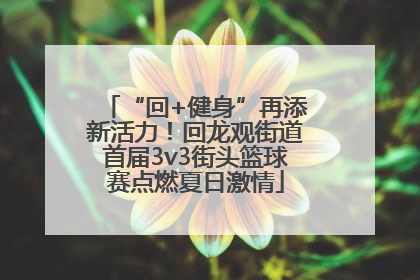 “回+健身”再添新活力！回龙观街道首届3v3街头篮球赛点燃夏日激情