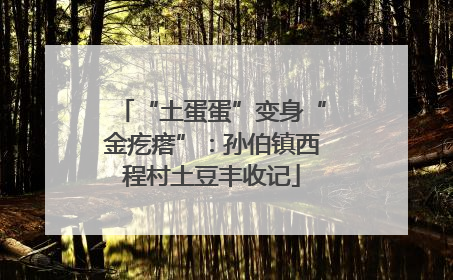 “土蛋蛋”变身“金疙瘩”：孙伯镇西程村土豆丰收记