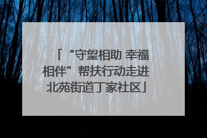 “守望相助 幸福相伴”帮扶行动走进北苑街道丁家社区