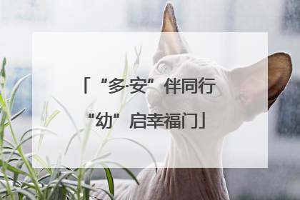 “多·安”伴同行 “幼”启幸福门