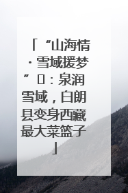 “山海情・雪域援梦”⑪：泉润雪域，白朗县变身西藏最大菜篮子