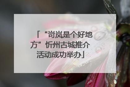“岢岚是个好地方”忻州古城推介活动成功举办