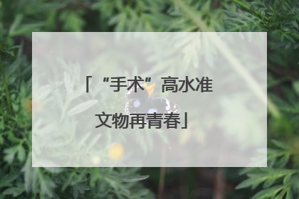 “手术”高水准 文物再青春