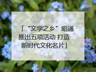 “文学之乡”昭通推出五项活动 打造新时代文化名片
