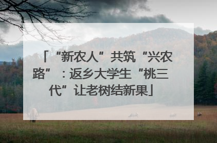 “新农人”共筑“兴农路”：返乡大学生“桃三代”让老树结新果