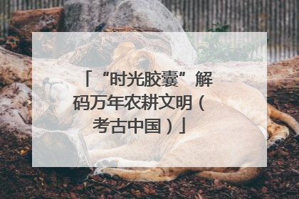 “时光胶囊”解码万年农耕文明（考古中国）