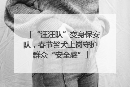 “汪汪队”变身保安队，春节警犬上岗守护群众“安全感”