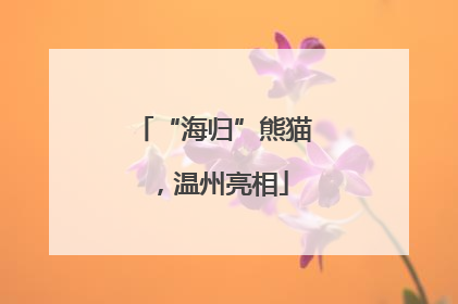 “海归”熊猫，温州亮相