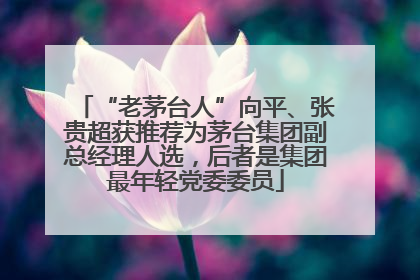 “老茅台人”向平、张贵超获推荐为茅台集团副总经理人选，后者是集团最年轻党委委员