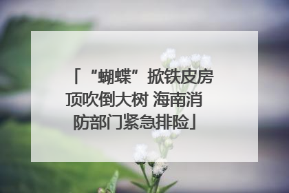 “蝴蝶”掀铁皮房顶吹倒大树 海南消防部门紧急排险