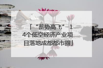“蓄势高飞” 14个低空经济产业项目落地成都都市圈