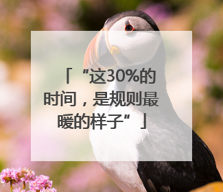 “这30%的时间，是规则最暖的样子”
