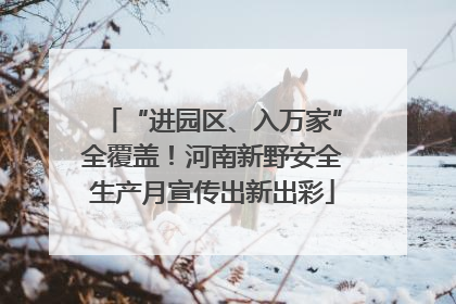 “进园区、入万家”全覆盖！河南新野安全生产月宣传出新出彩
