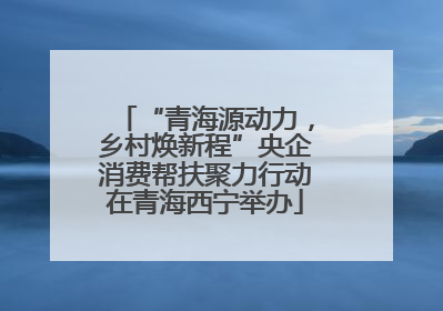“青海源动力，乡村焕新程”央企消费帮扶聚力行动在青海西宁举办