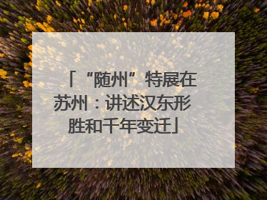 “随州”特展在苏州：讲述汉东形胜和千年变迁