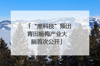 “黑科技”频出 青田杨梅产业大脑首次公开