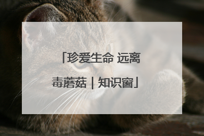 珍爱生命 远离毒蘑菇｜知识窗