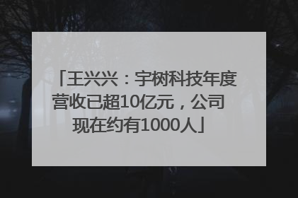 王兴兴：宇树科技年度营收已超10亿元，公司现在约有1000人