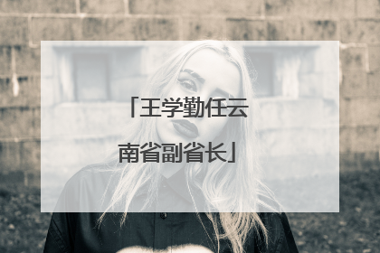 王学勤任云南省副省长