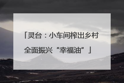 灵台：小车间榨出乡村全面振兴“幸福油”